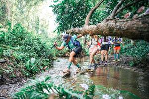 BIB: 
                            <button type="button" onclick="openModal(25516328)" class="btn btn-primary btn-sm float-right btn-popup" data-toggle="modal" data-target=".modal-high-quality">
                        <i class="fas fa-shopping-cart"></i> Add to Cart
                    </button>
                                            <button type="button" onclick="isThisMe(25516328, true)" class="btn btn-success btn-sm float-right btn-popup btn-isme hidden" data-toggle="tooltip" data-placement="bottom" title="นี่คือรูปของคุณใช่ไหม คลิกที่นี่เพื่อเอาเข้าอัลบั้ม">
                        <i class="fas fa-plus"></i> Add to album
                    </button>
                    <button type="button" onclick="isThisMe(25516328, false)" class="btn btn-warning btn-sm float-right btn-popup btn-isnotme hidden">
                        <i class="fas fa-ban"></i> Remove from album
                    </button>